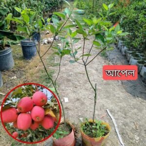 WhatsApp Image 2025-07-29 at 6.40.01 PM (1)